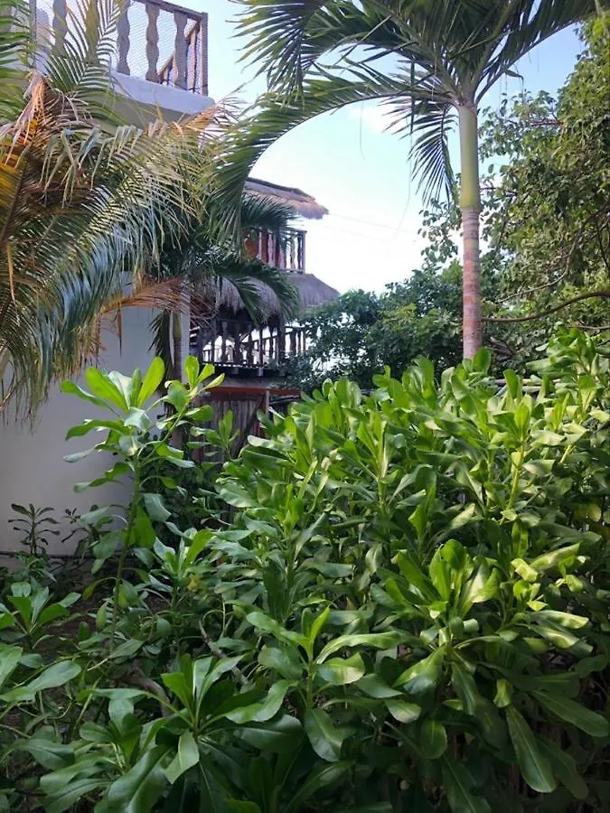 Hotel Ricoisla Eco Chic Isla Mujeres